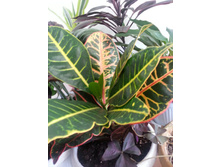 20140831_145753.jpg