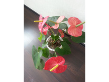 20140831_145726.jpg