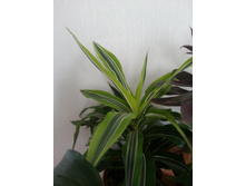 20140831_145758.jpg