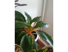 20140831_145836.jpg