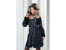 D-82 ��� ����.jpeg