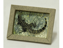 241_�������_40 ���.