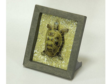 246_��������_40 ���.