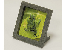 249_�������_40 ���.