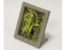 245_��������_40 ���.