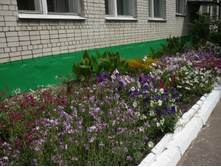 P1120144.JPG