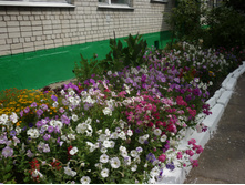 P1120145.JPG