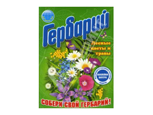 �������� ������ ����� � ����� 124 �����