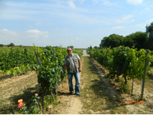 ���� ������