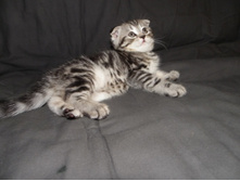 ����� 2.jpg