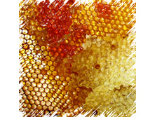 ������ ��������