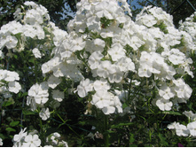 ������ 2012�. 009.jpg