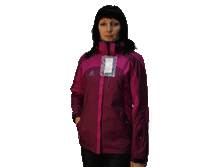 ����� ���� - 1300 ���