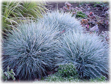 ��������� �������.jpg