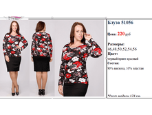 ����� 51056   220 ���..png