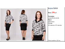 ����� 53018   250 ���..png