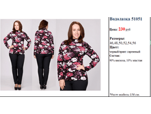 ��������� 51051   230 ���..png