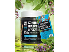 ���������� ������ ���������� (�������) 300 �� - 336 ���.