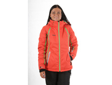 201458-������ �/�