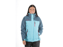 201481 �- �������