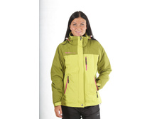 201481 �-�������