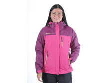 201481 -�������