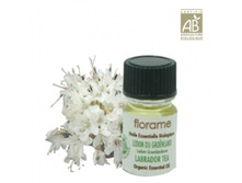 586�_��������� ������������. ������� �����, 2��. FLORAME