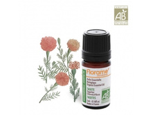 586�_��������. ������� ����� 5��. FLORAME