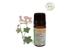 586�_������ �����������. ������� ����� 5��. FLORAME