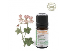 586�_������ ������. ������� �����, 5��. FLORAME