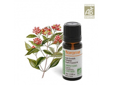 599�_��������. ������� ����� 10��. FLORAME