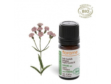 586�_������� ��������. ������� �����, 5��. FLORAME