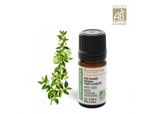 199�_���� ������. ������� �����, 5��. FLORAME