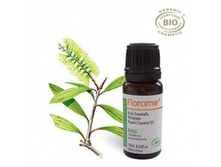 799�_������. ������� �����,10��. FLORAME