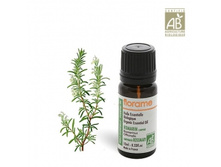 1753�_�������� (�������). ������� �����,10��. FLORAME