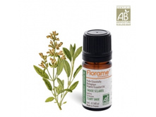 466�_������ ���������. ������� �����, 5��. FLORAME