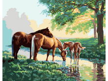 633-��. ������� �� �������.jpg