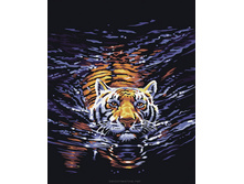 634-��. �������� ����.jpg