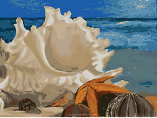 735-��. ������� �������.jpg