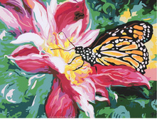 736-��. ������� ������.jpg