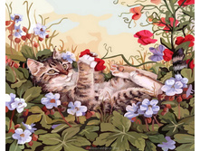 802-��. ������� ������.jpg