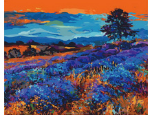 884-��. ���������� ����.jpg