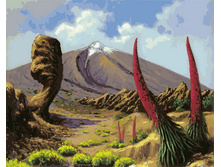 911-��. ��� �� ������� �����.jpg