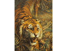 ��-313. �������� ������.jpg