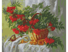 ��-505. ����� ������.jpg