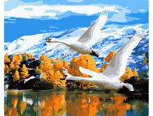 ��-515. � ������ ������.jpg