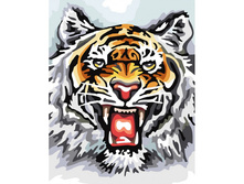 ��-555. �������� ����.jpg