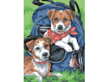 ��-201. �������.jpg