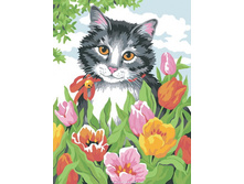 ��-206. ������� � ���������.jpg