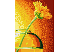 ��-213. ������ �������.jpg